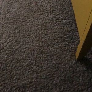 Meet your Posher, Gloria